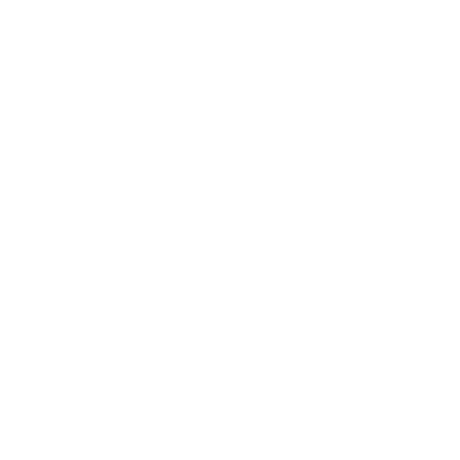 Palachichi logo